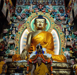 At ZapGaadi, we don’t just rent cars — we give you the freedom to explore Northeast India on your own terms.